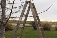 Fence Crossing Ladder Best Fence 2018 intended for dimensions 768 X 1152