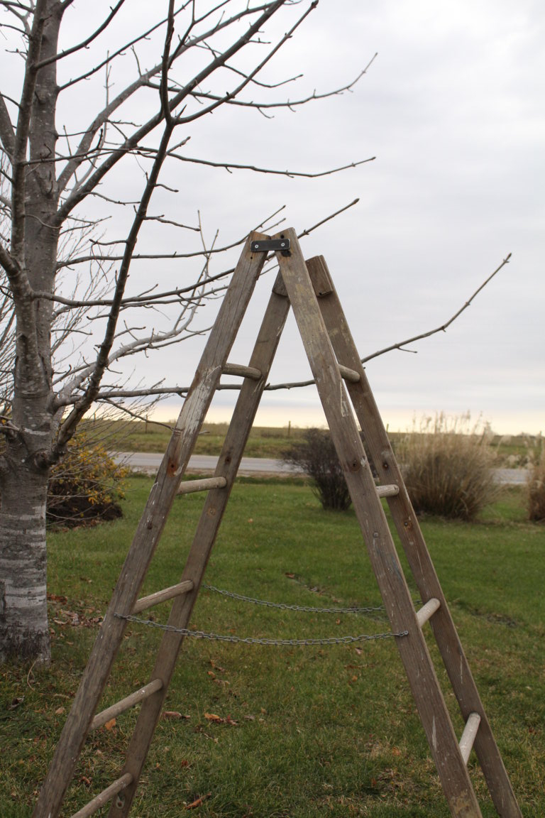 Fence Crossing Ladder Best Fence 2018 intended for dimensions 768 X 1152