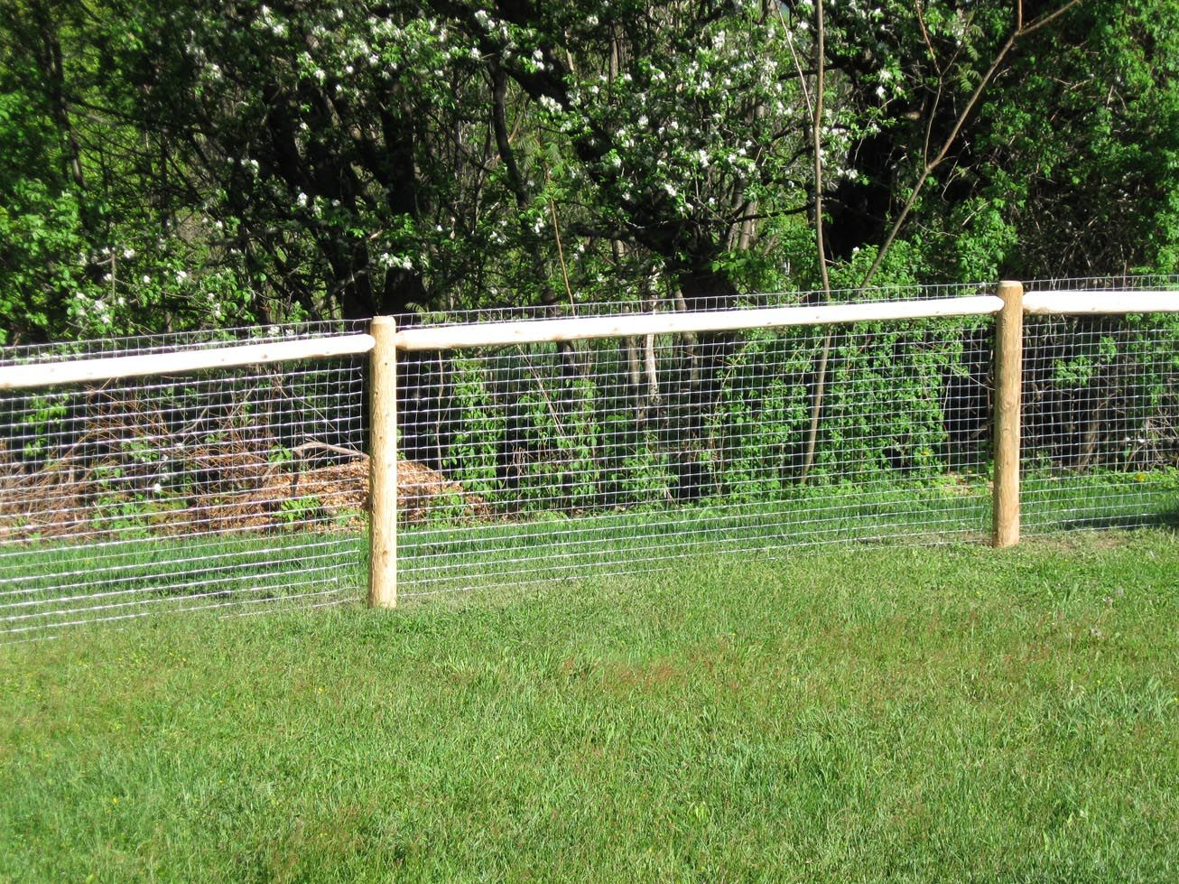 Fence Designsingle Rail Temporary Fencing For Dogs Designs Fence with sizing 1306 X 979