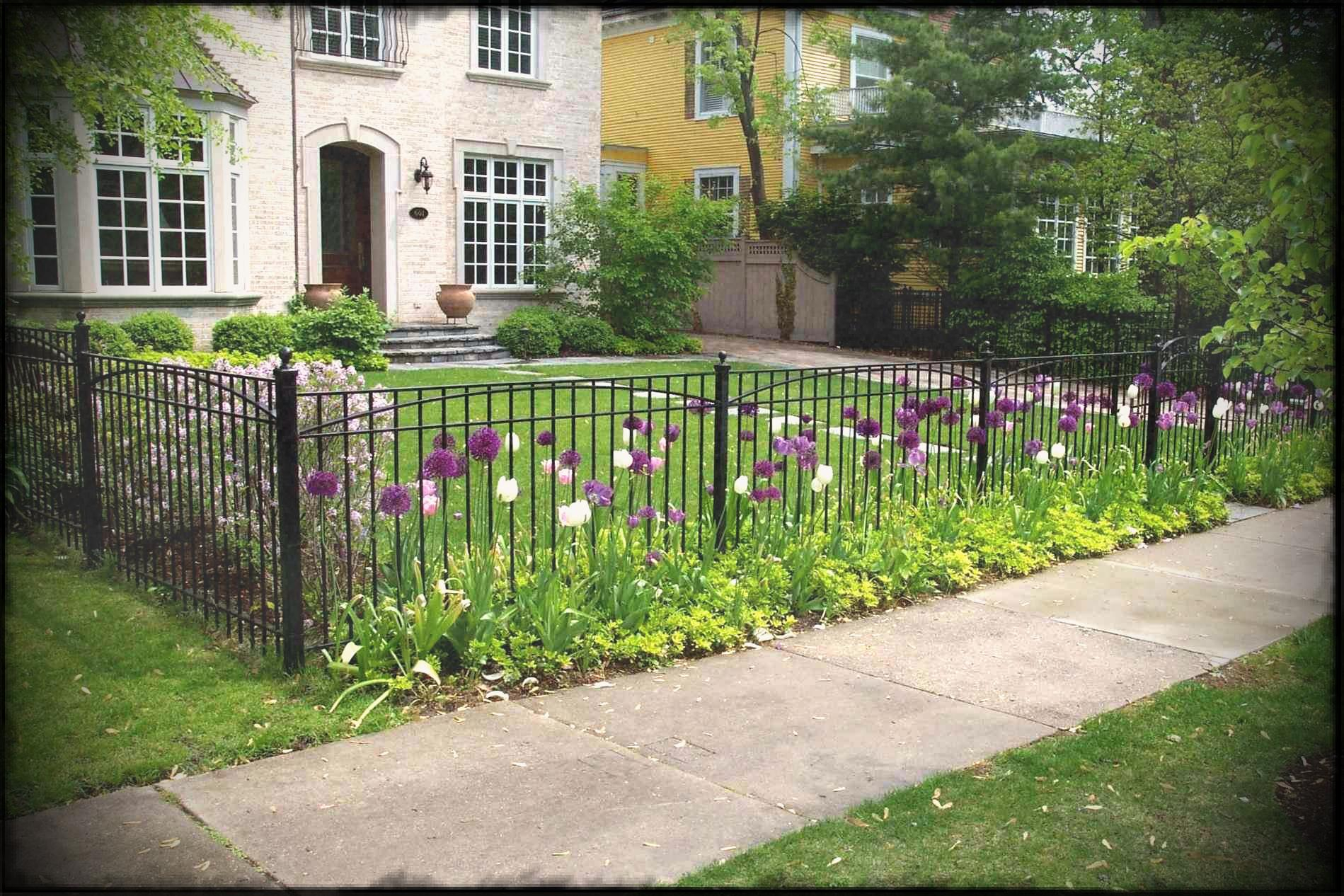 Fence Short Wrought Iron Garden Captivating Decorative Metal Fencing throughout proportions 1899 X 1266