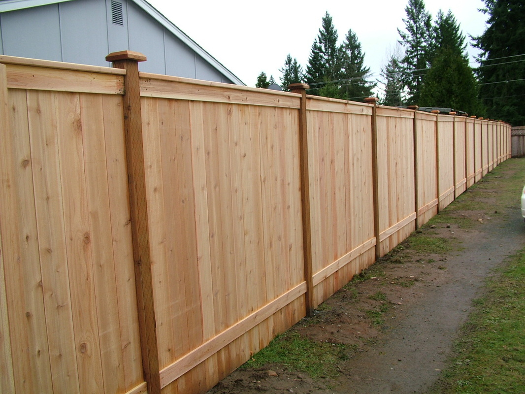 Fencing Arbors More inside size 1066 X 800