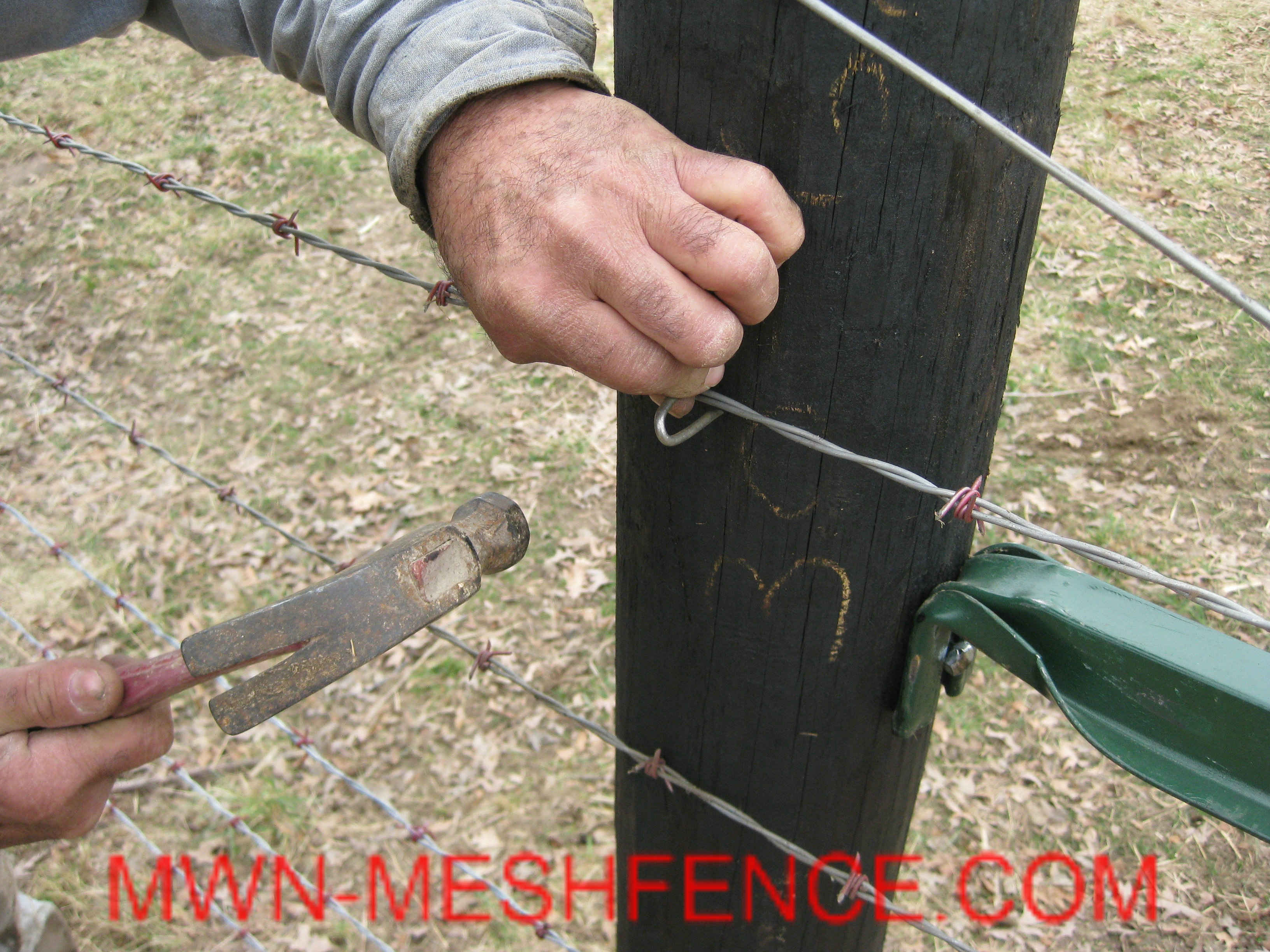 Fencing Staplesmwn Meshfence with regard to size 3264 X 2448