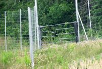 Foto Soup Animal Fencing In New Brunswick with regard to size 1024 X 768