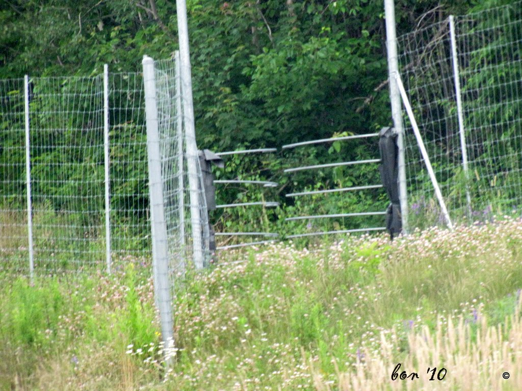 Foto Soup Animal Fencing In New Brunswick with regard to size 1024 X 768