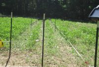 Four Wire Electric Fence System Best Control Of Deer Access To Food for sizing 4320 X 3240