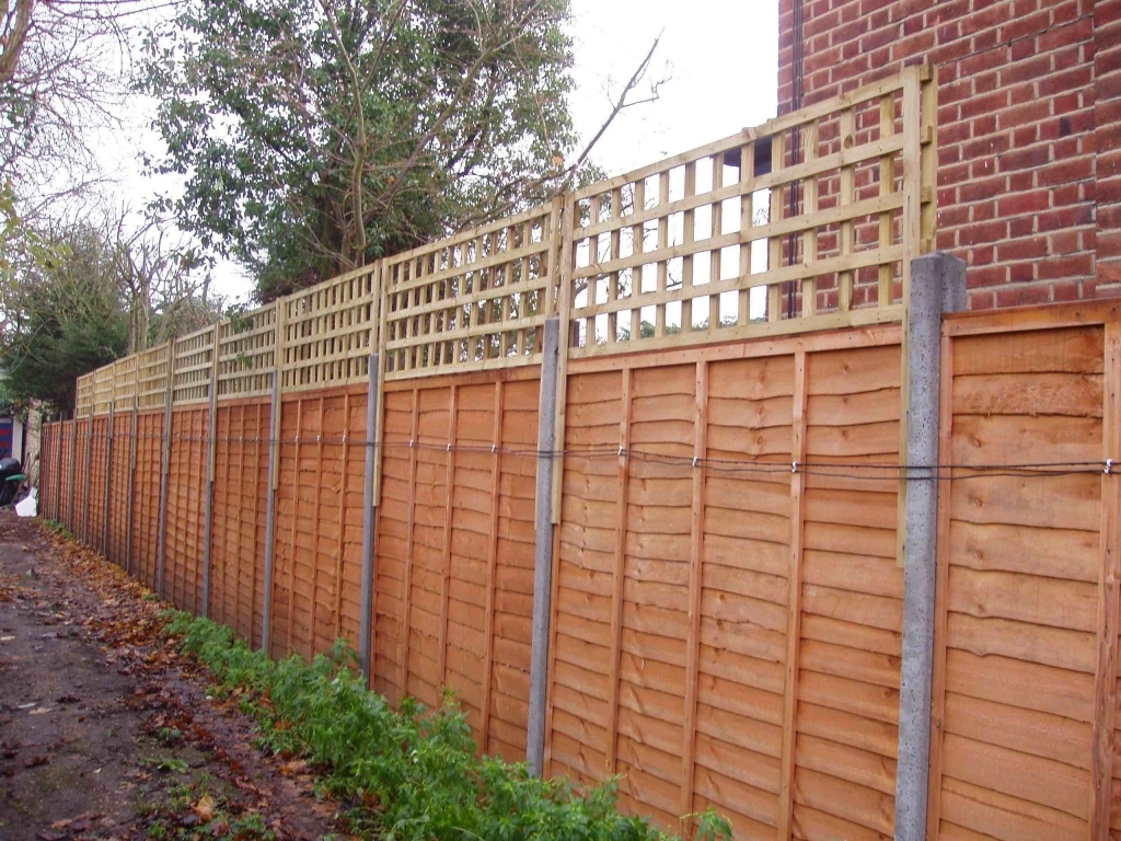 Fresh Ideas Trellis Tops For Fence Panels regarding proportions 1024 X 768