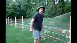 Funny Electric Fence Shock Compilation Funny Pics Vids Gifs within size 1280 X 720