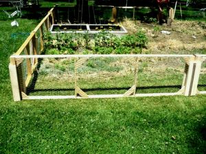 Garden Fence Ideas Fowler Woodworking Modular Chicken Wire For Gate pertaining to proportions 1264 X 948
