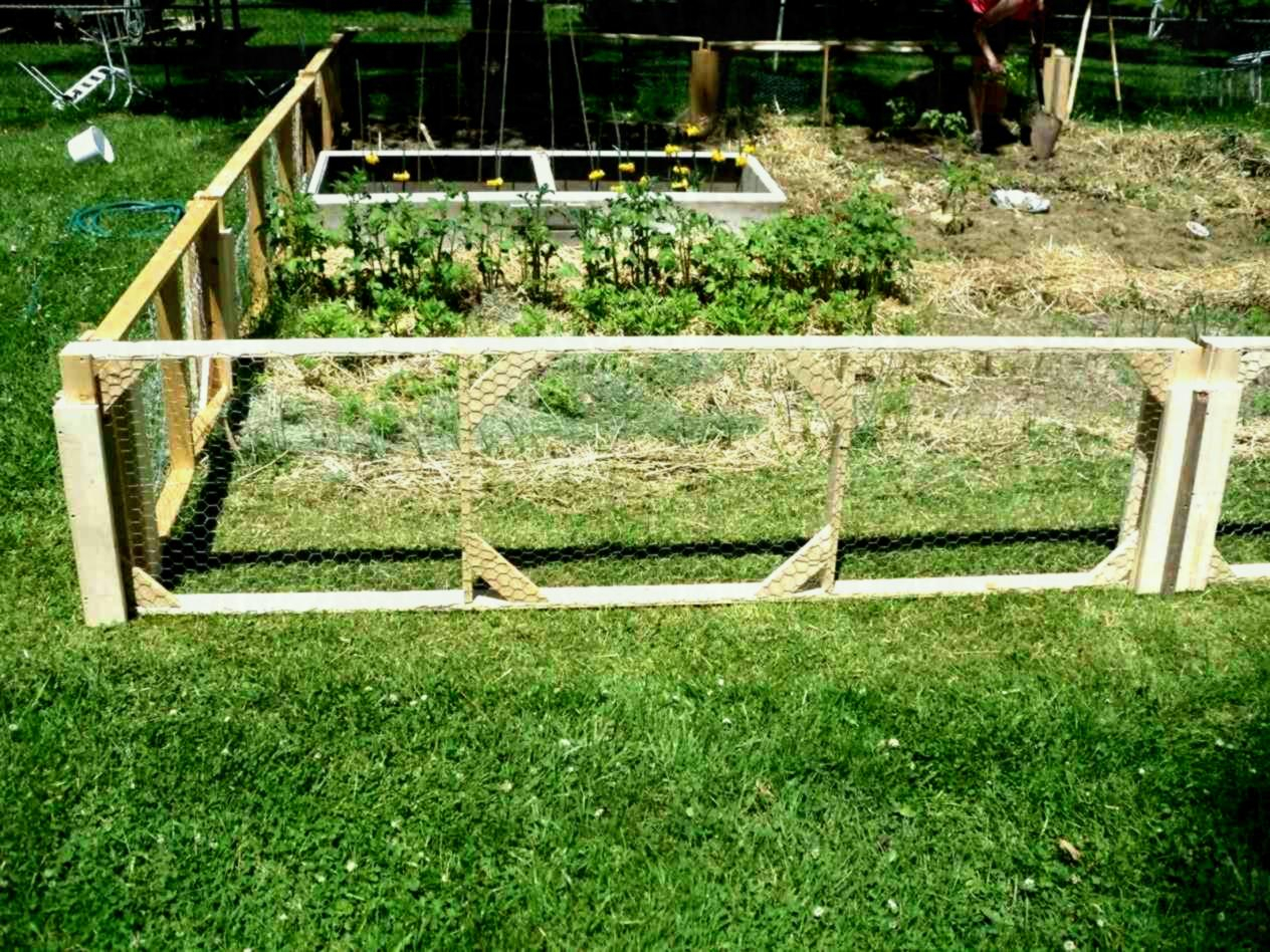 Garden Fence Ideas Fowler Woodworking Modular Chicken Wire For Gate pertaining to proportions 1264 X 948