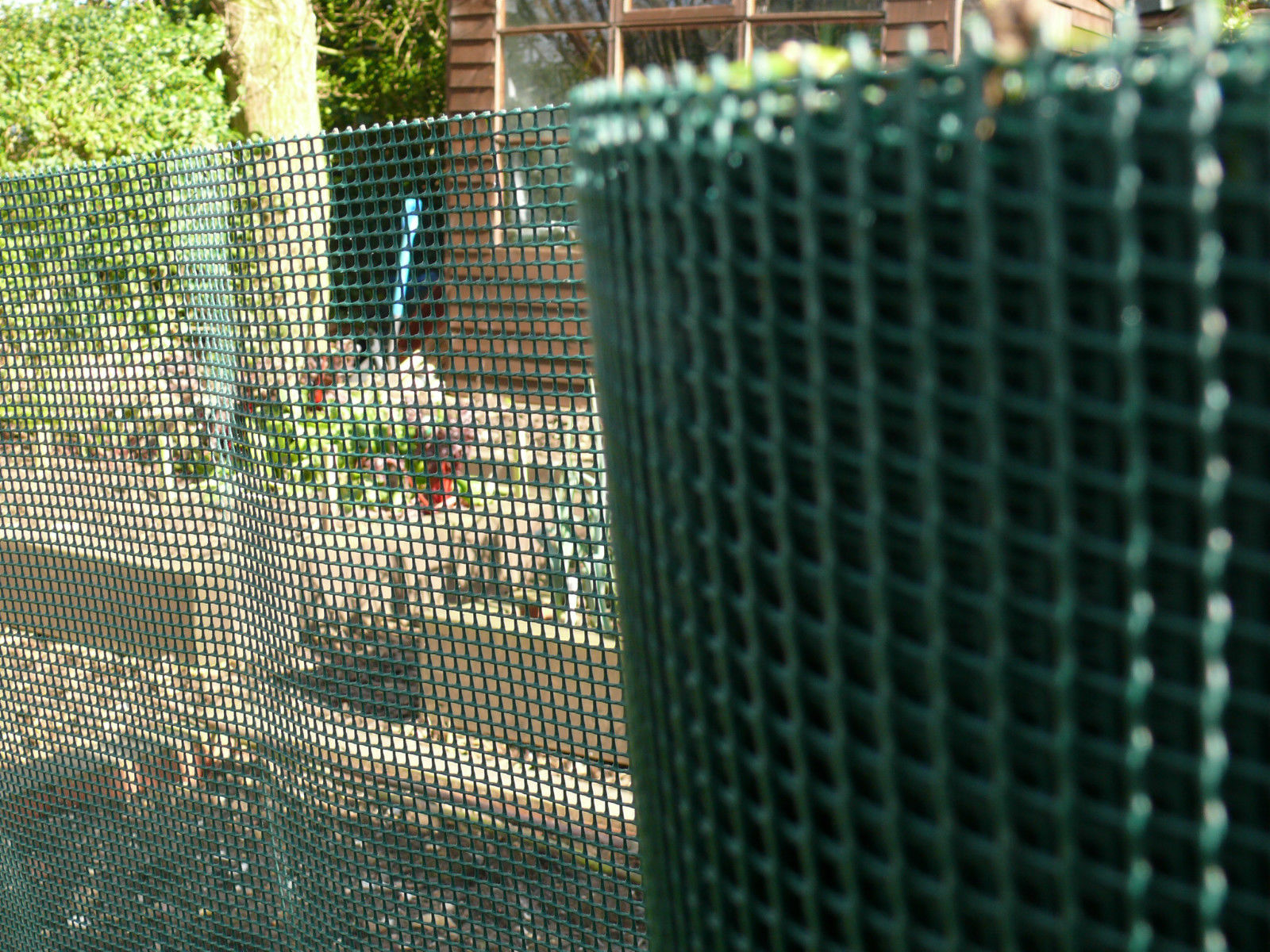 Garden Fencing Plastic Mesh Green 1 X 10 M 5 Mm Hole Dog Pet Fence with regard to dimensions 1600 X 1200