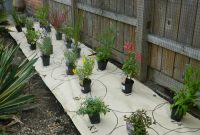 Garden Makeover Update Garden On A Roll One Year On Garden for sizing 1024 X 834