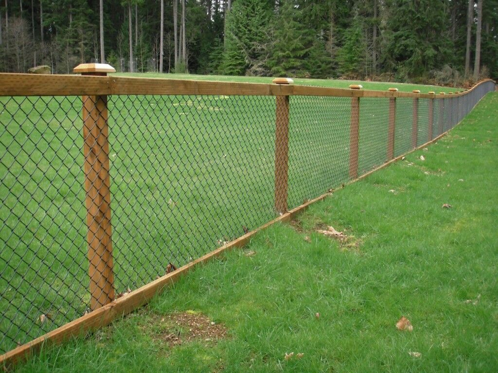 Good Fencing Option Along Wooded Property Line Retirement Dream with proportions 1024 X 768