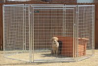 Good Portable Dog Fencing Design Idea And Decorations Portable inside sizing 1024 X 768