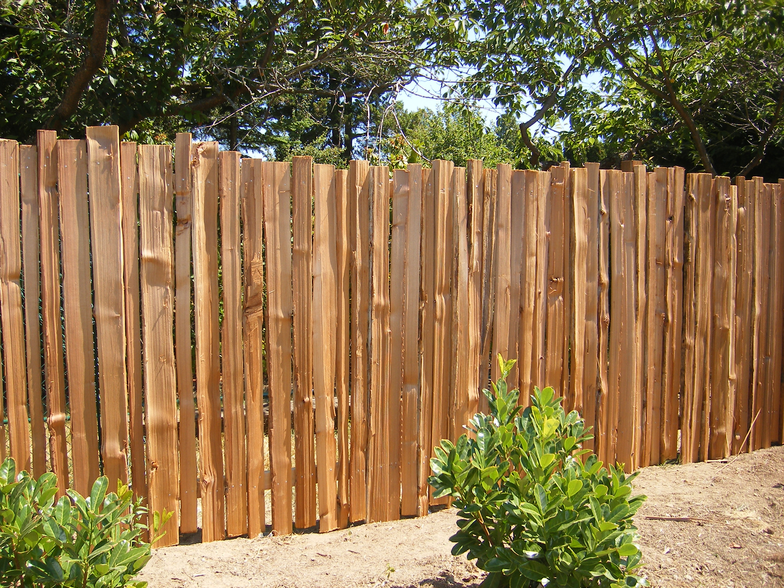 Grape Stake Fence Panels Fences Design regarding proportions 2592 X 1944