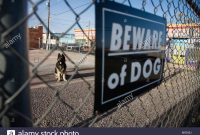 Guard Dog Behind Beware Of Dog Sign On Fence Stock Photo 14970629 regarding size 1300 X 956