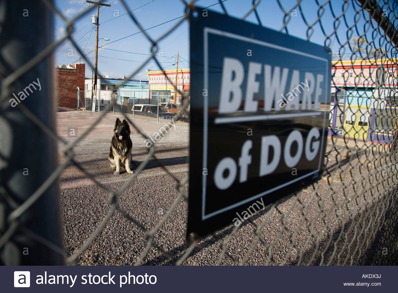 Guard Dog Behind Beware Of Dog Sign On Fence Stock Photo 14970629 regarding size 1300 X 956