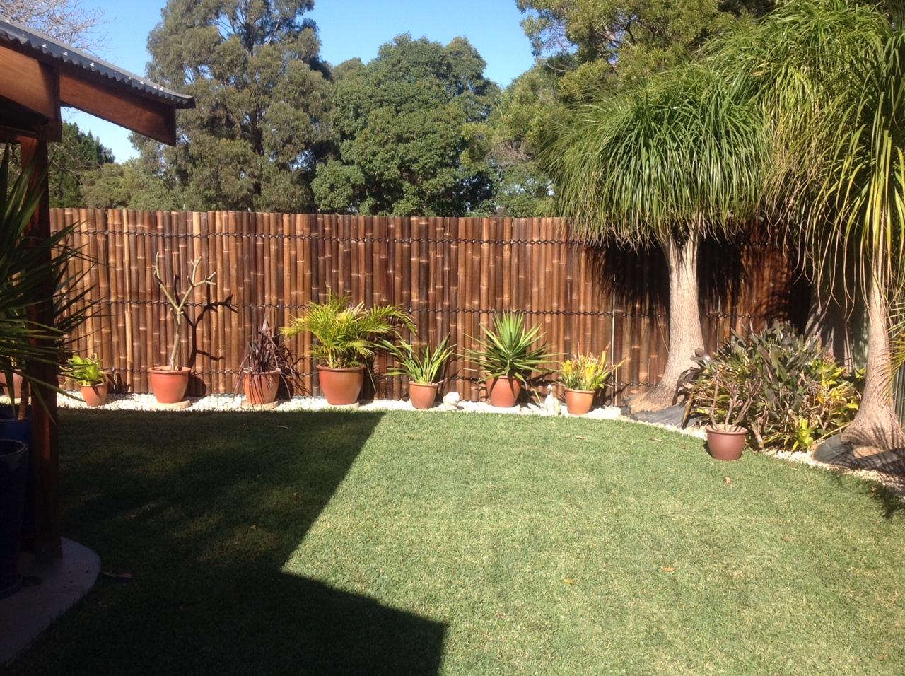 Half Pole Black Bamboo Fencingscreen 18m High X 09m Wide 3000 with regard to proportions 1280 X 956