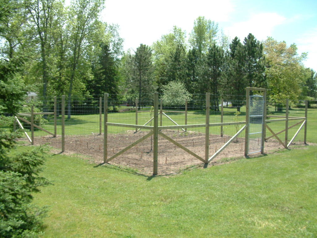 Height Of Deer Proof Fence Fences Design for sizing 1024 X 769