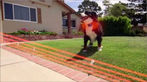 High Tech Pet Bluefang 4 In 1 Remote Training Electric Dog Fence regarding measurements 1364 X 768
