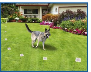 High Tech Pets X 10 Electronic Dog Fence Keeps Your Pet Safe for size 1260 X 990