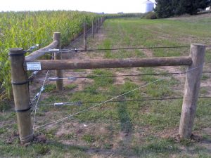High Tensile Wire Fence Spacing 4 Types Of High Tensile Wire Fence within sizing 1024 X 768