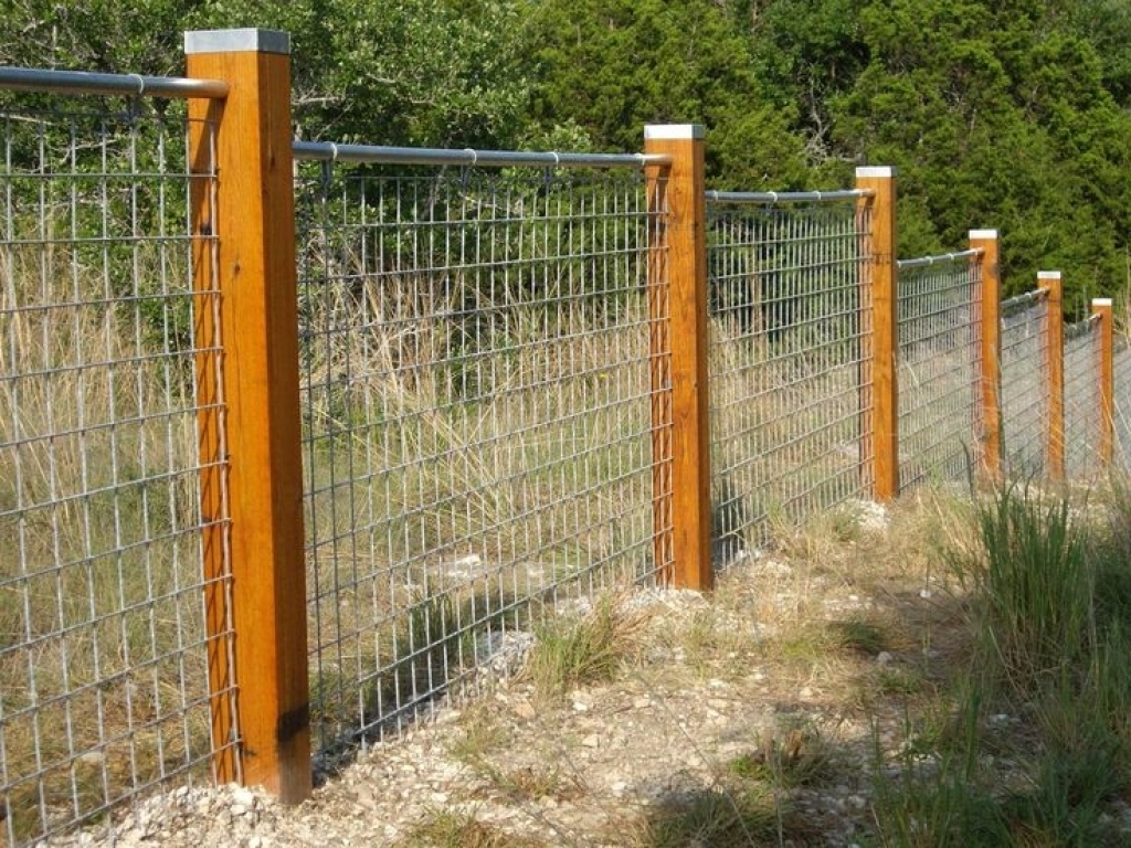 Hog Panel Fence Clips Fence And Gate Ideas Installing Wire Hog with regard to proportions 1024 X 768