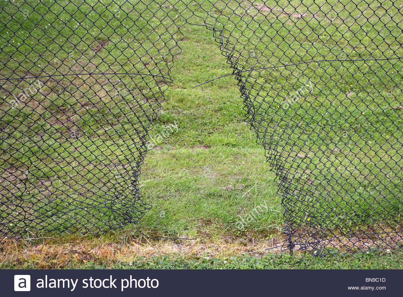 Hole Cut In Chain Link Fencing In The Uk Stock Photo 30325161 Alamy for proportions 1300 X 956