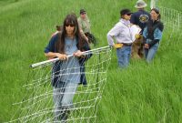 Holistic Management Of Goats Stand For Food within sizing 4608 X 3456