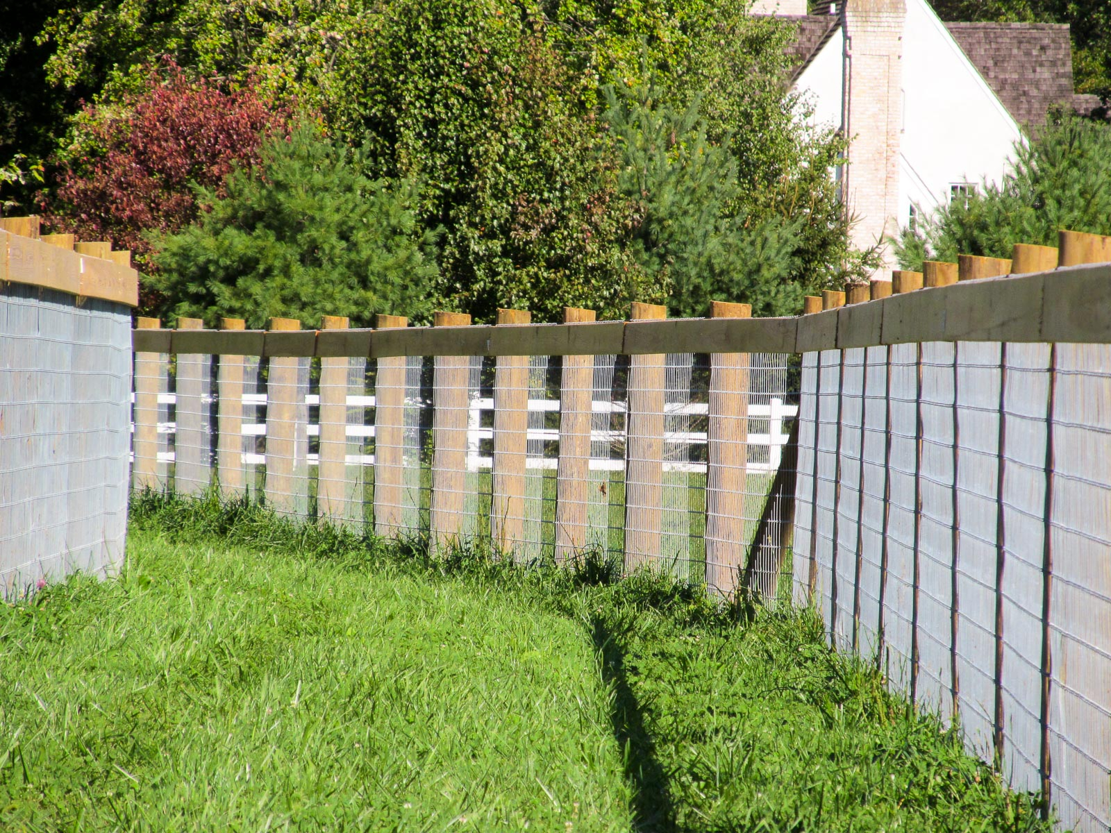 Horse Fence Ak Fencing inside size 1600 X 1200