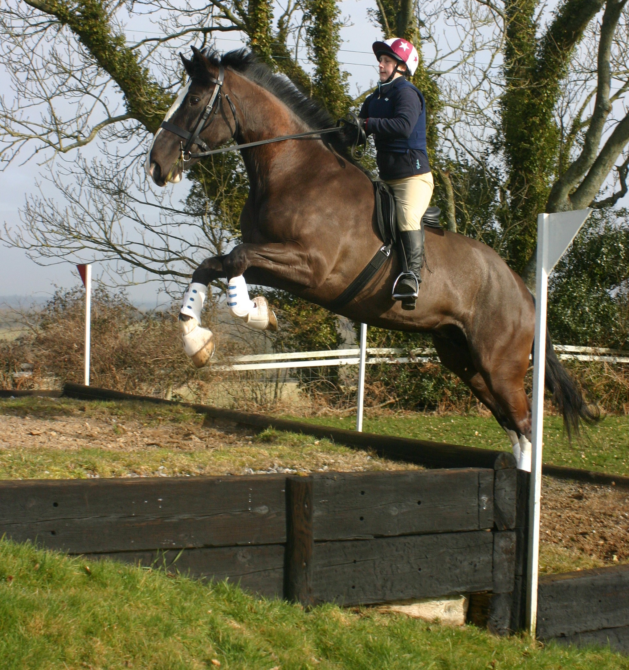 Horse Jumping Obstacles Wikipedia within size 2041 X 2173