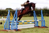 Horse Jumps Twice Actual Fence Height with size 1024 X 809