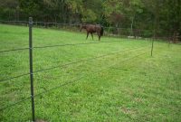 Horse Portable Electric Fence Outdoor Decorations intended for measurements 1278 X 961