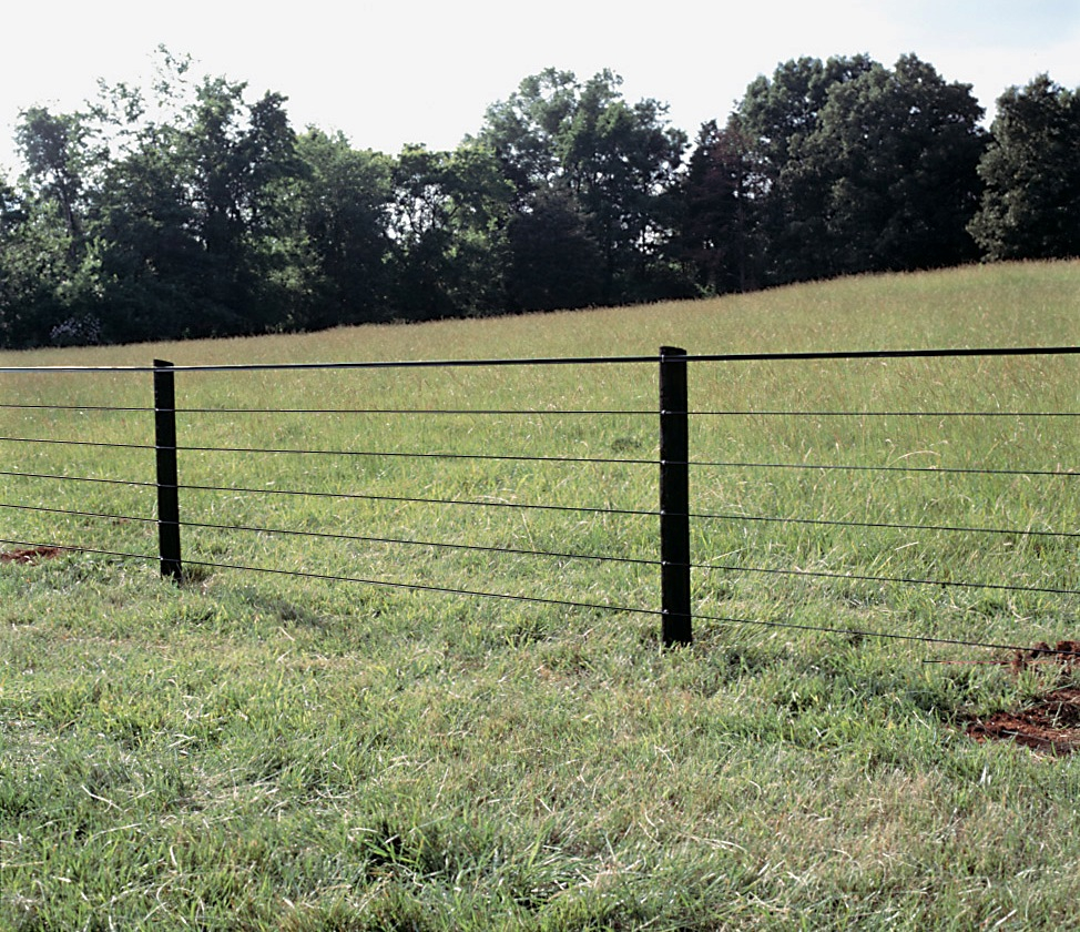 Horsefence Direct Centaur Polyplus Htp Fence for dimensions 974 X 840