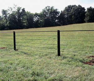 Horsefence Direct Centaur Polyplus Htp Fence regarding size 974 X 840