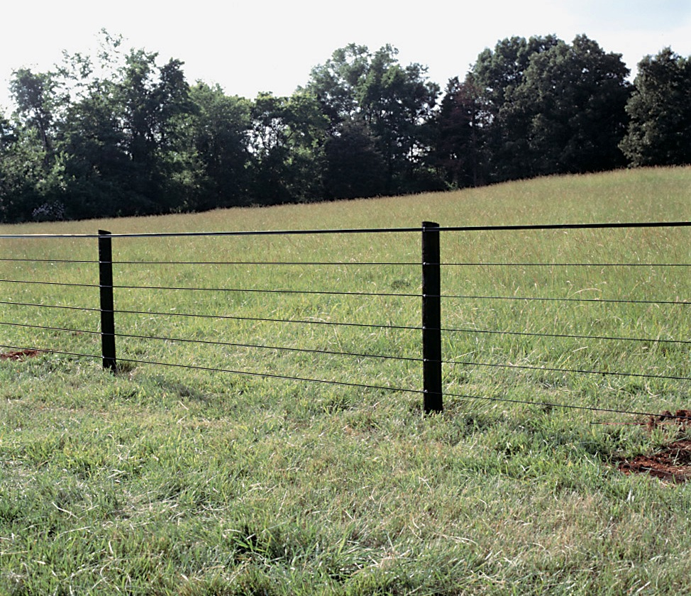 Horsefence Direct Centaur Polyplus Htp Fence with regard to sizing 974 X 840