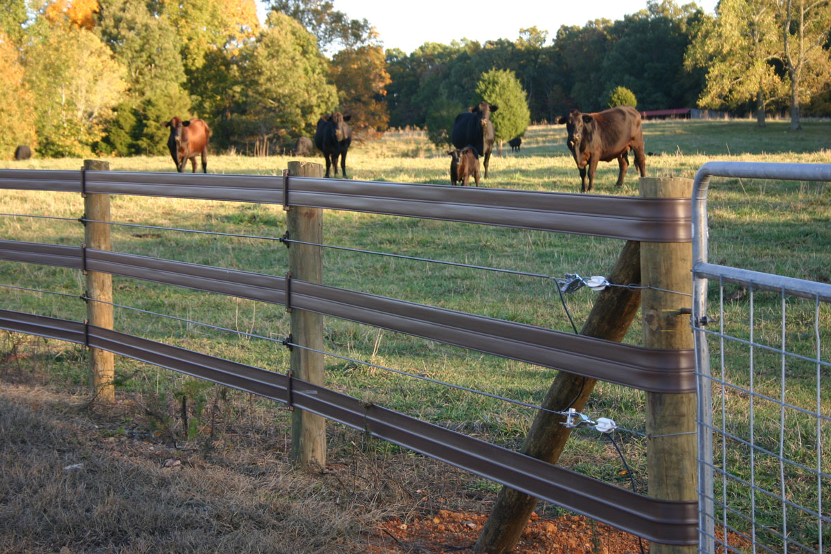 Horsefence Direct Centaur White Lightning Fence within sizing 1200 X 800