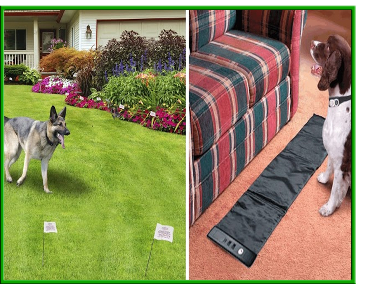 Humane Contain Invisible Dog Fence Plus Radio Mat Pet Trainer within size 1260 X 972