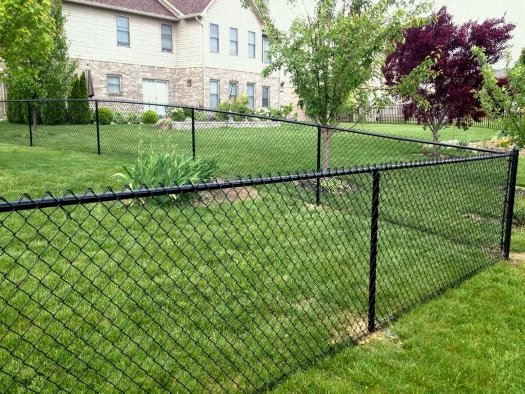 Image Of Dog Proof Chain Link Fence Style Design Ideas Brunotaddei throughout size 1024 X 768