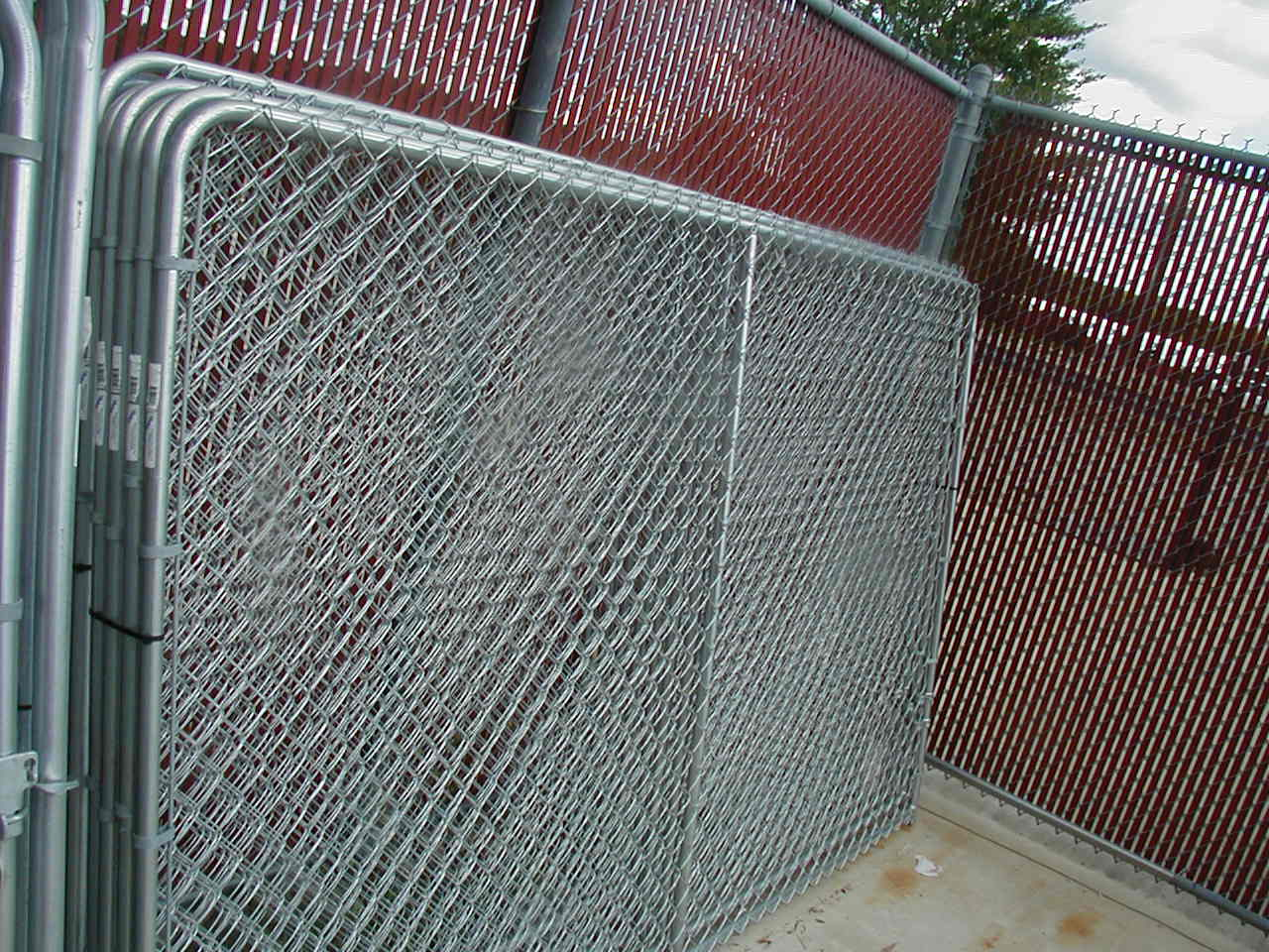 Image Of Wire Fence Panels Dogs throughout proportions 1280 X 960