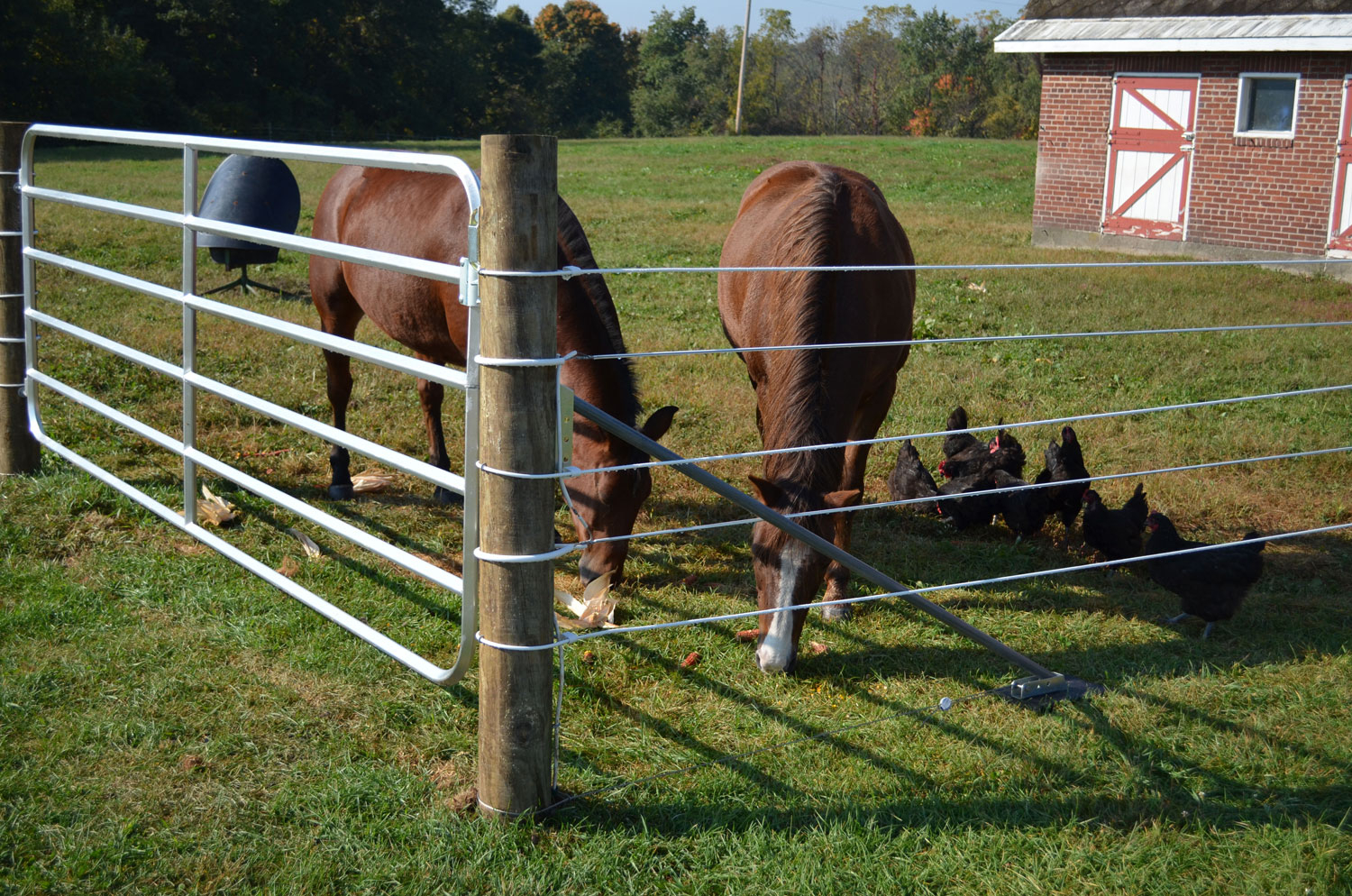 Corner Fence Post Brace • Fence Ideas Site