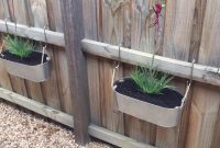 Kangaroo Paw In Pots To Break Up That Long Fence Fence Planters On within sizing 1280 X 720