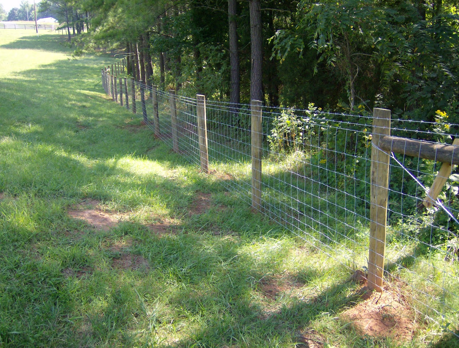 Larry Chattin Sons Farm Fencing in dimensions 1600 X 1216