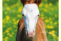 Massachusetts Horse Junejuly 2015 Community Horse Media Issuu throughout sizing 1147 X 1494