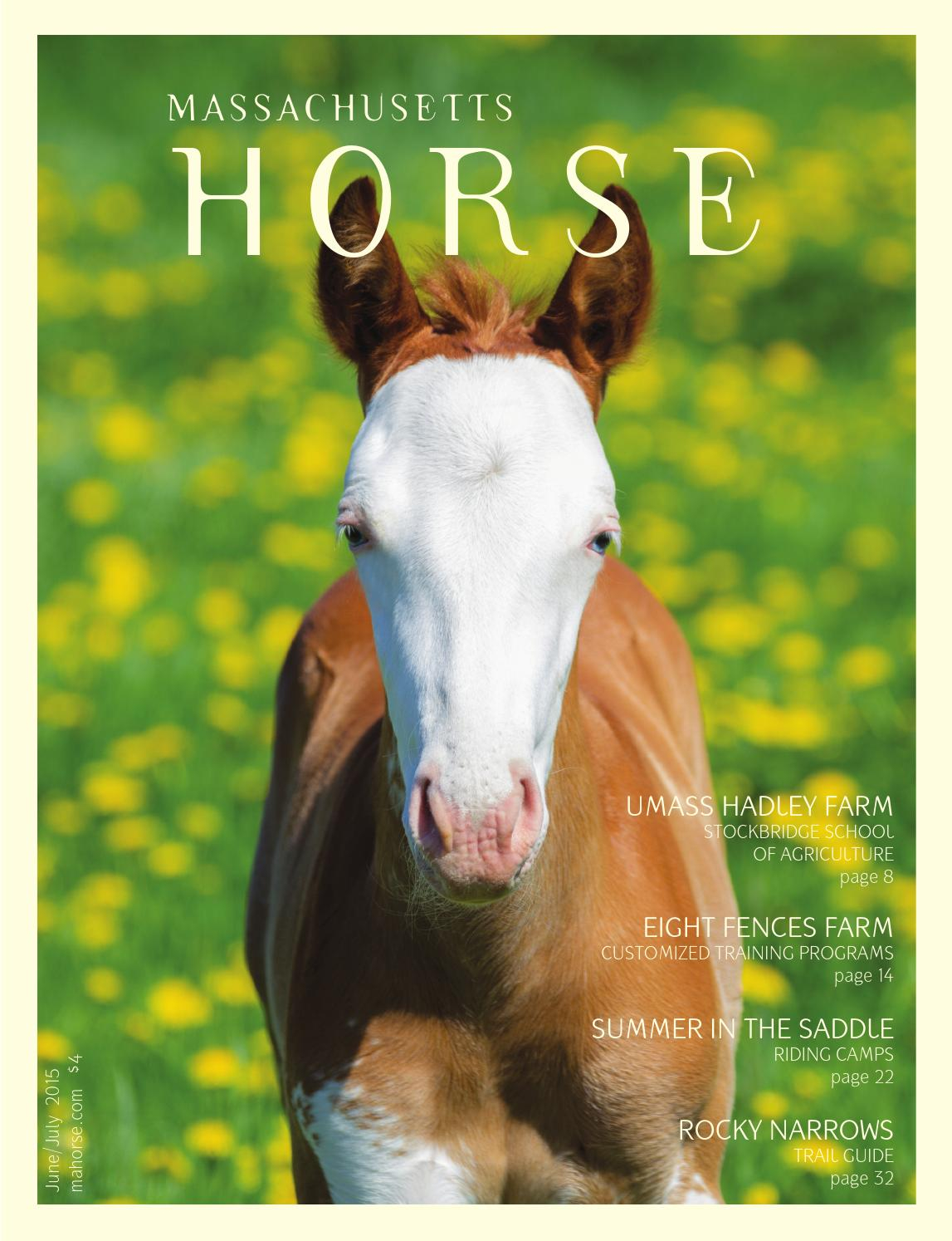 Massachusetts Horse Junejuly 2015 Community Horse Media Issuu throughout sizing 1147 X 1494