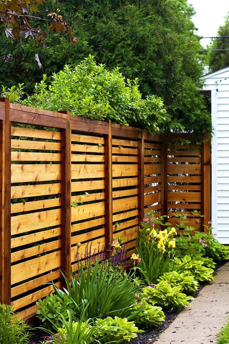 More On Page Astounding Backyard Privacy Fence Ideas Pictures for sizing 736 X 1104