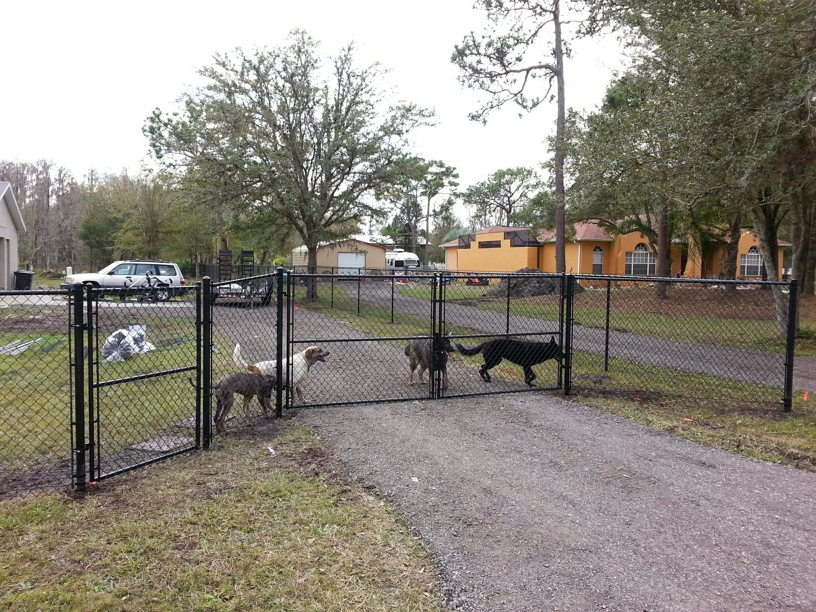 New Tampa Fence Inc Black Chain Link Fence Lutz Fl inside measurements 1600 X 1200