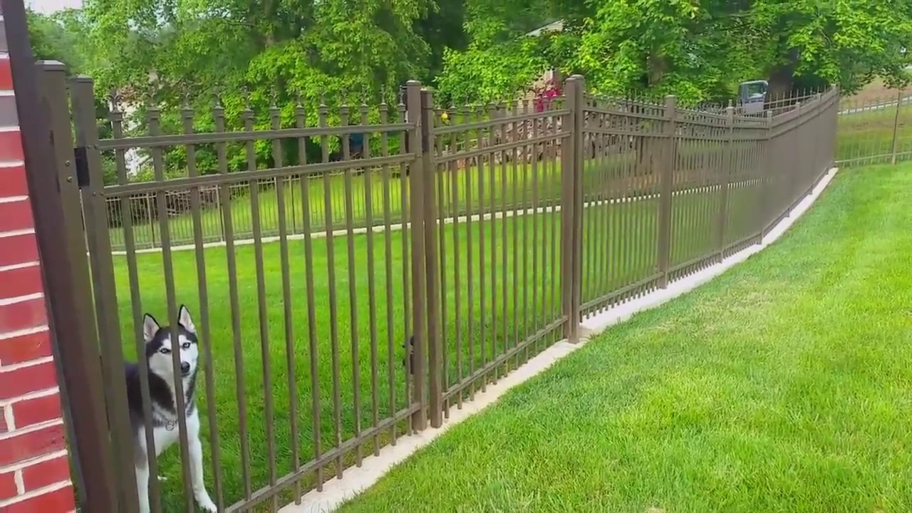 No Dig Dog Fence The Fence For Dogs That Dig Outdoor Living inside proportions 1280 X 720