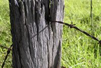 Old Fence Post Free Stock Photo Public Domain Pictures regarding measurements 958 X 1280