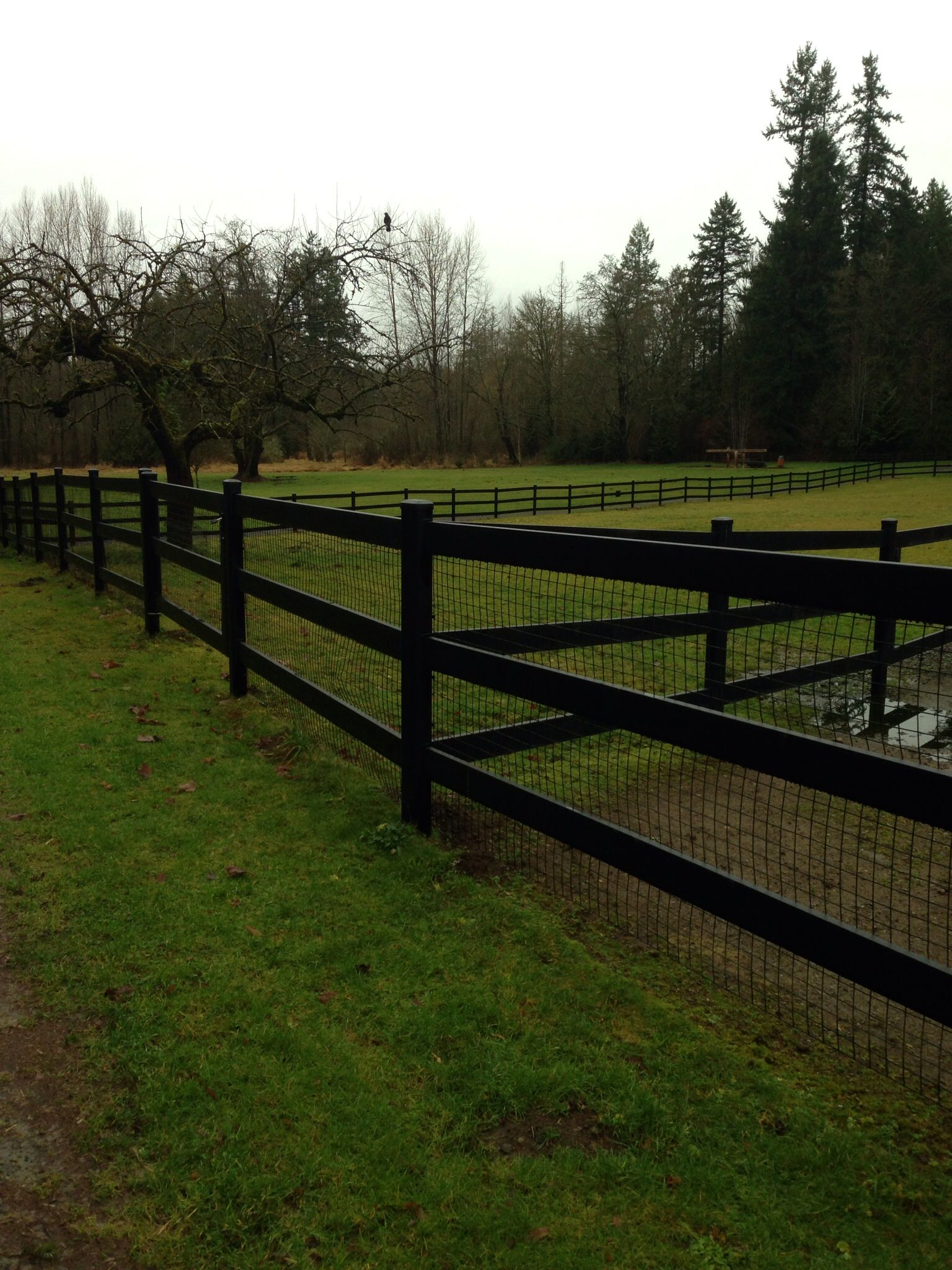 Open Looking Fencing With The Added Dog Security Of Wire Fencing in size 1536 X 2048