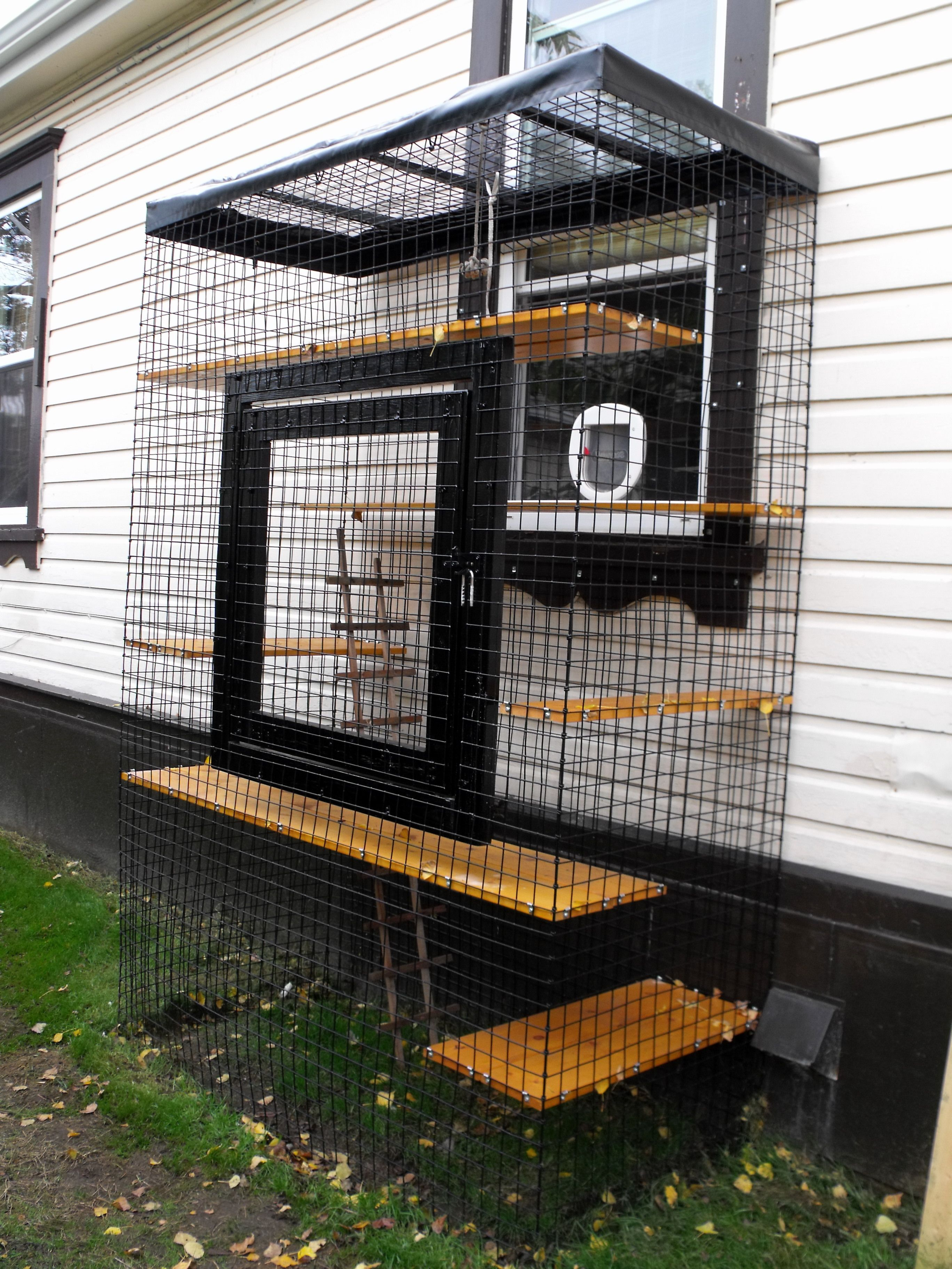 Outd Cat Enclosures For Other Animals Too From Catscape with sizing 2736 X 3648